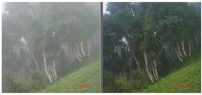 老哥俱乐部视频图像处理剖析系统