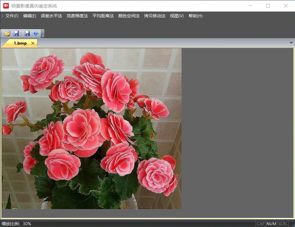 老哥俱乐部影像真伪判断系统