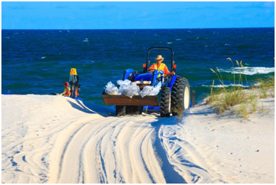 老哥俱乐部影像真伪判断系统